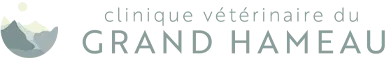 Clinique Vétérinaire du Grand Hameau à Pau - Idron