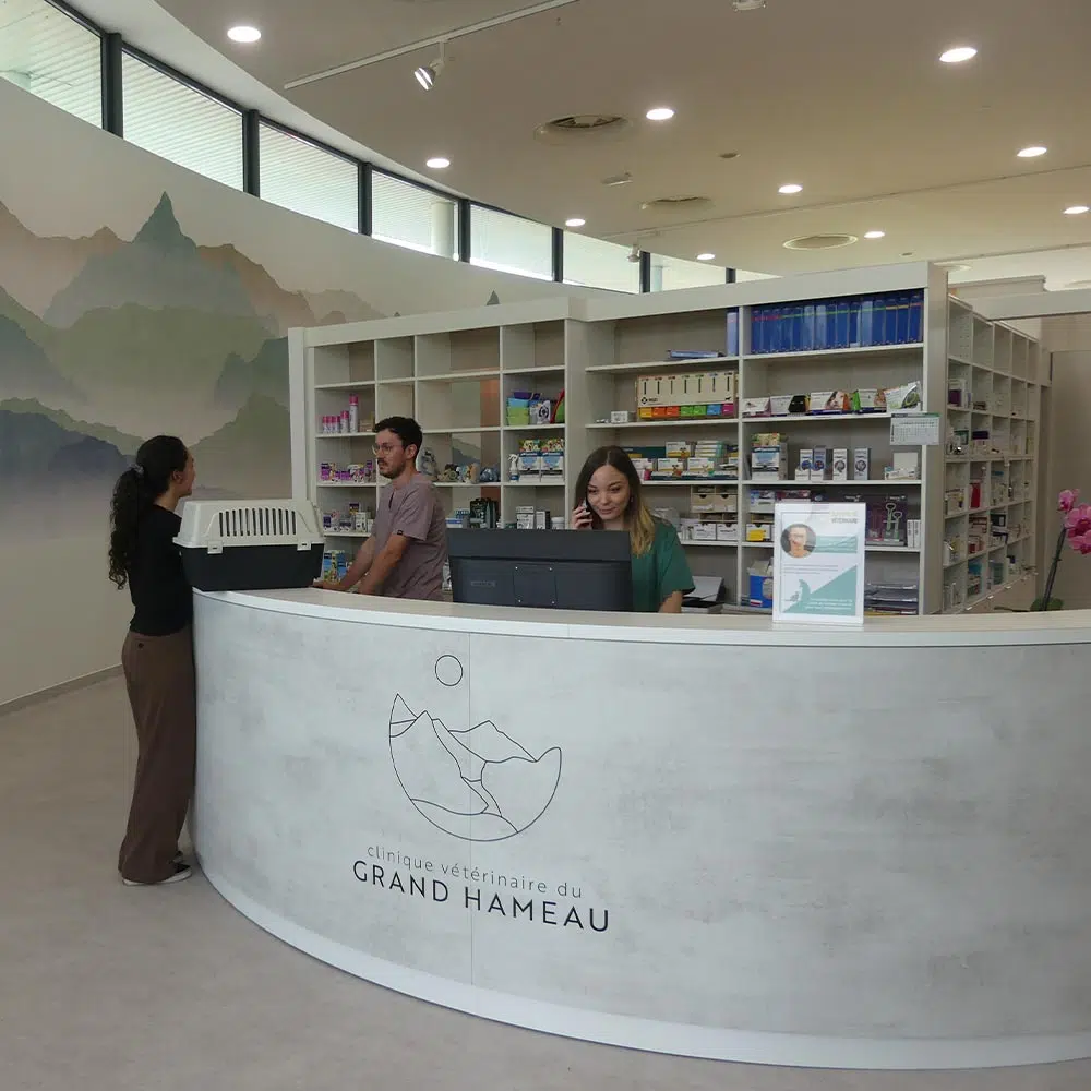 accueil clinique veterinaire du grand hameau