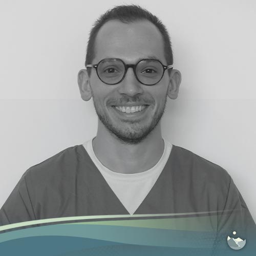 asv yohan