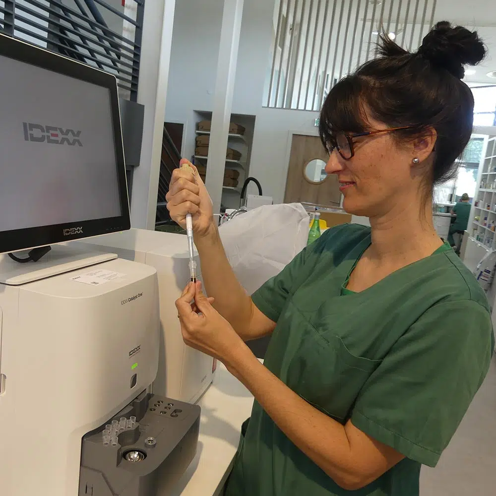 clinique veterinaire du grand hameau analyses sanguines