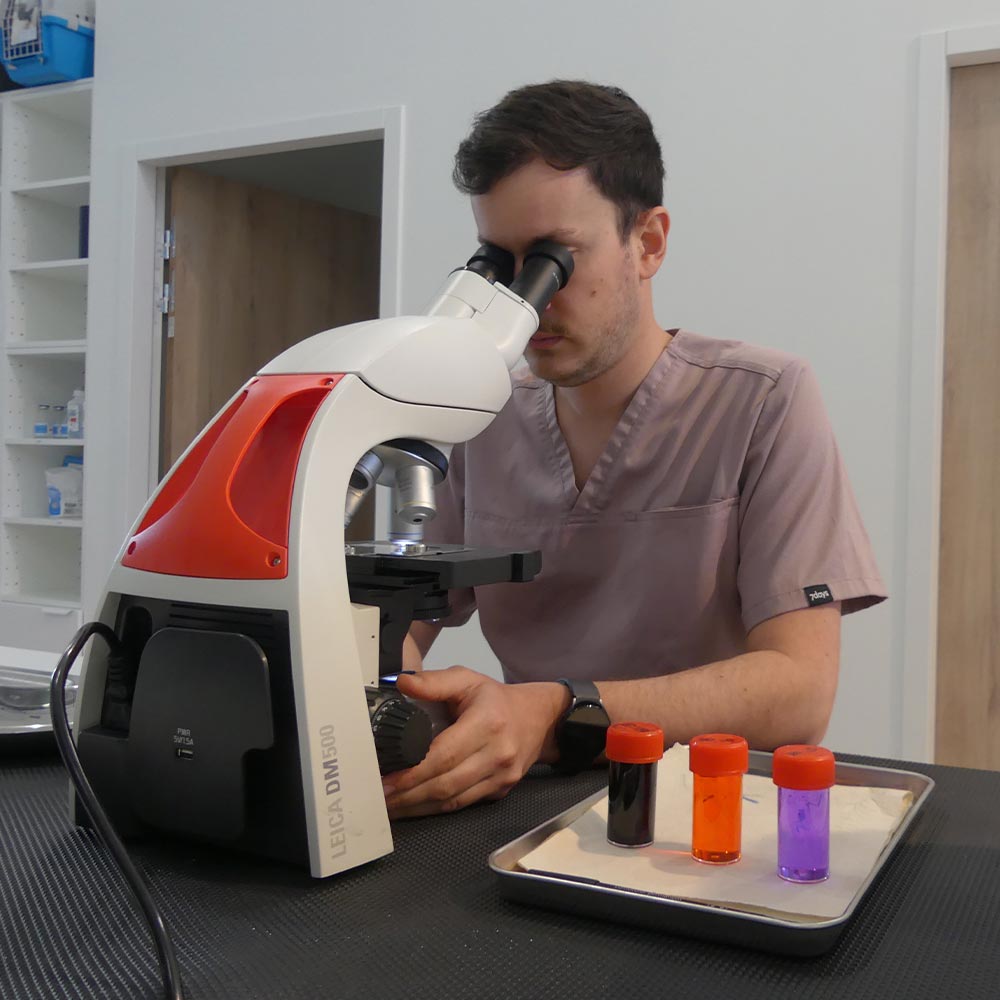 clinique veterinaire du grand hameau analyses veterinaire 2