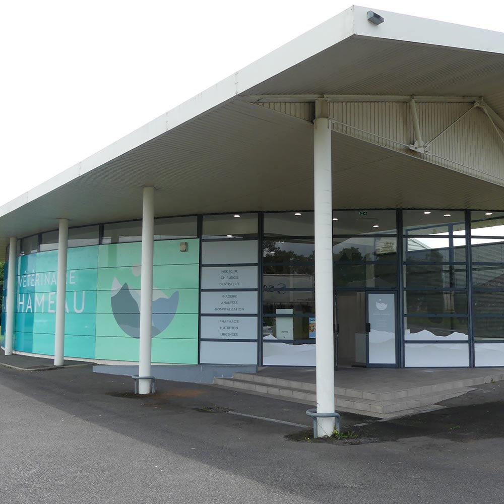 entree clinique veterinaire du grand hameau