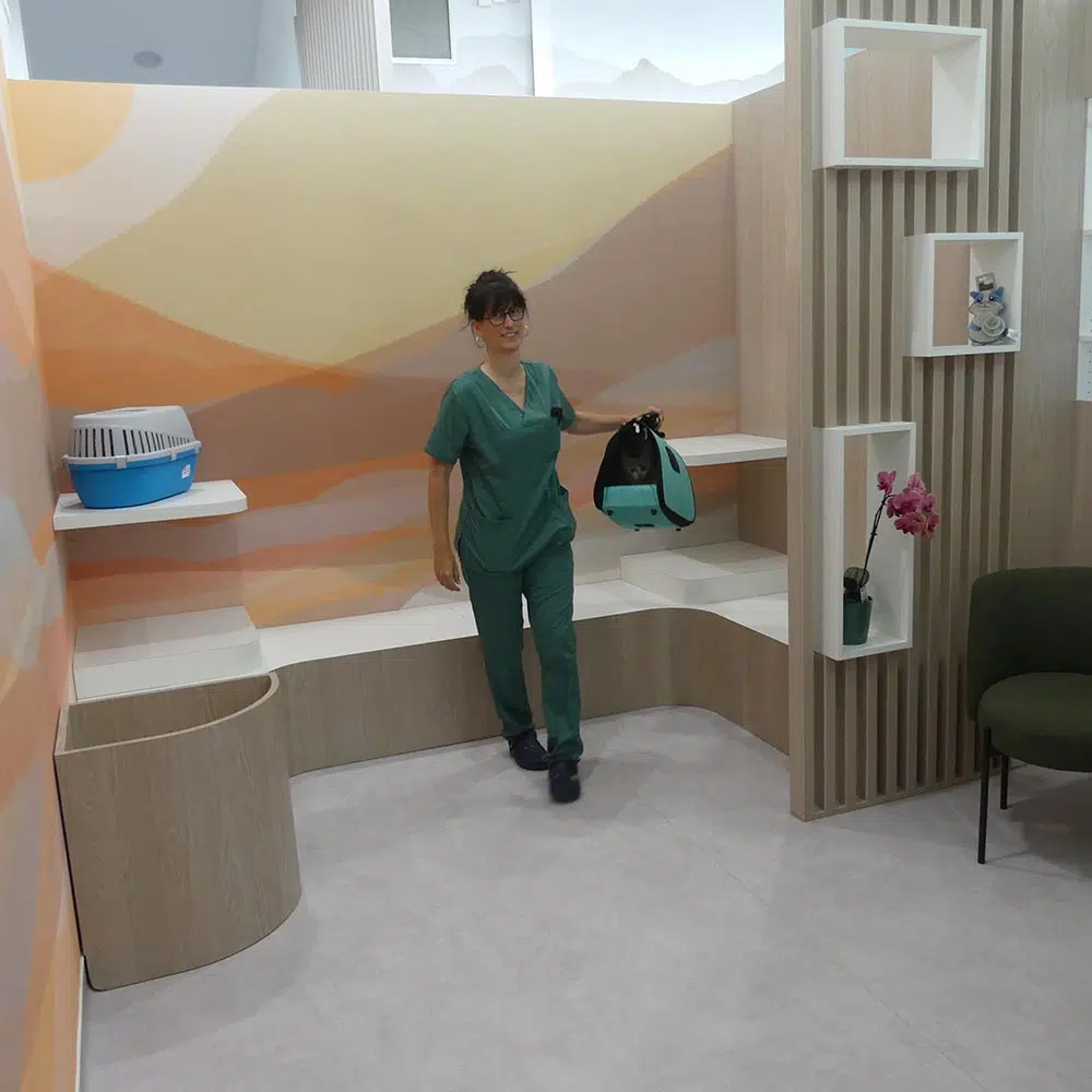 salle attente chats clinique veterinaire du grand hameau